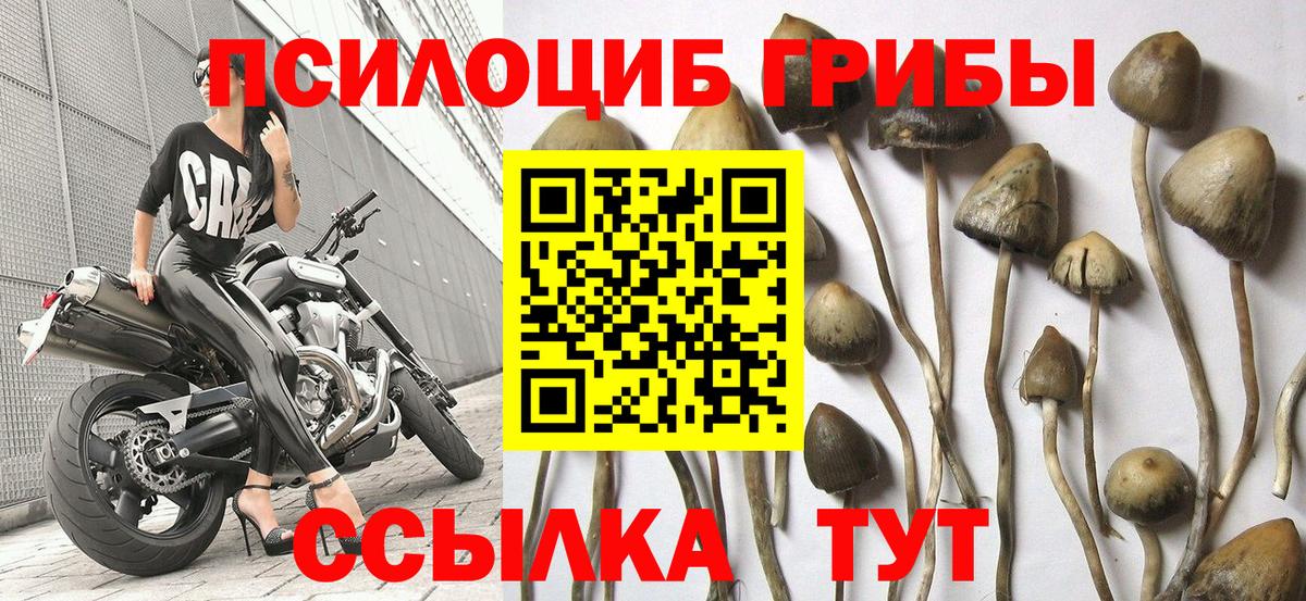 Галлюциногенные грибы Magic Shrooms  Вход с VPN  Маркс 